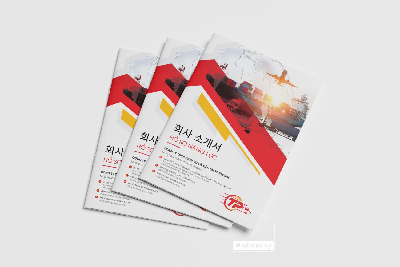 thiết kế profile công ty logistics