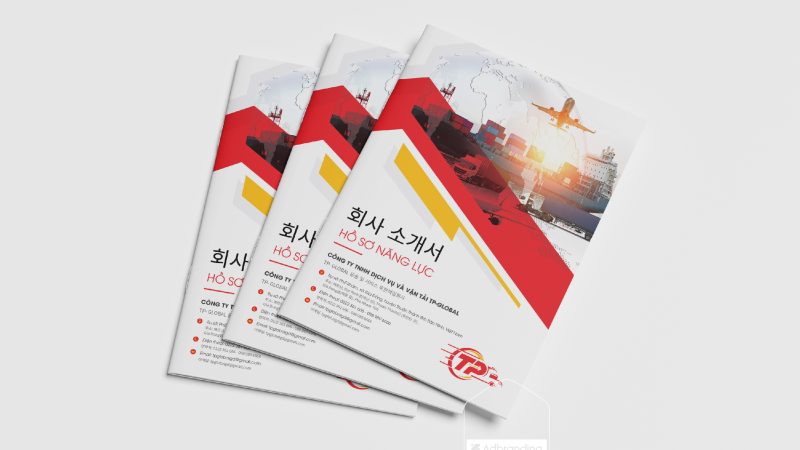 thiết kế profile công ty logistics