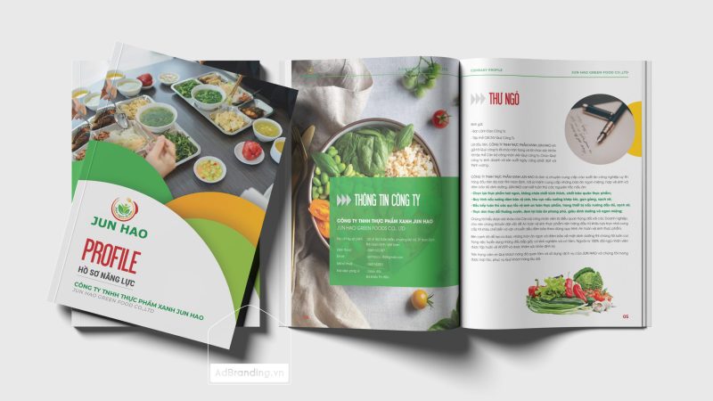 Thiết kế hồ sơ năng lực công ty start-up