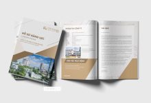 Thiết kế profile tổng công ty xi măng Việt Nam Vicem